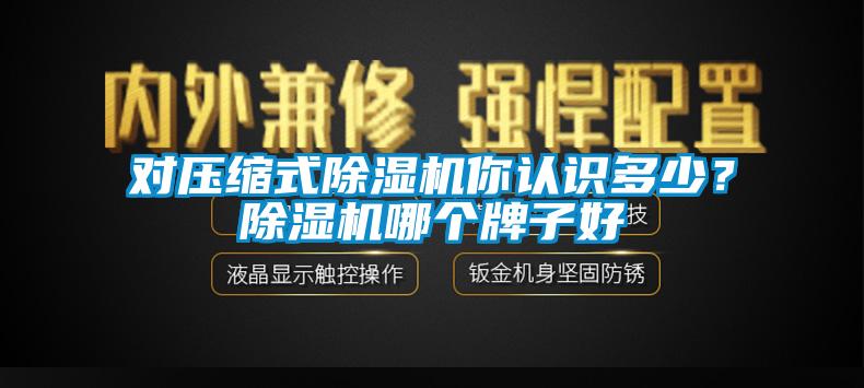 對壓縮式除濕機你認識多少？除濕機哪個(gè)牌子好