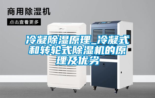 冷凝除濕原理_冷凝式和轉輪式除濕機的原理及優(yōu)劣