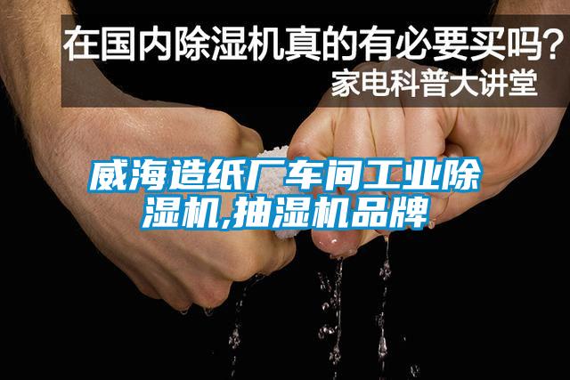 威海造紙廠(chǎng)車(chē)間工業(yè)除濕機,抽濕機品牌