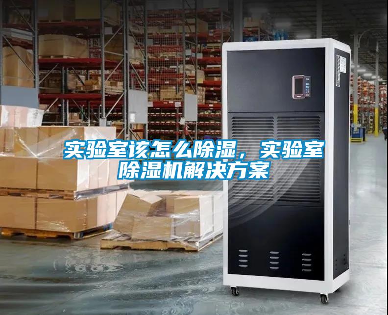 實(shí)驗室該怎么除濕，實(shí)驗室除濕機解決方案