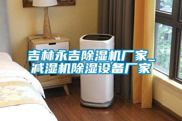 吉林永吉除濕機廠(chǎng)家_減濕機除濕設備廠(chǎng)家