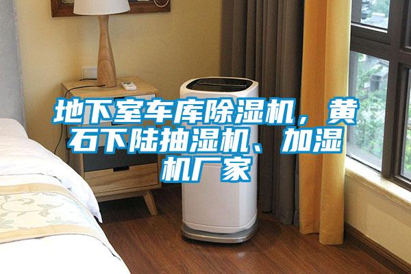 地下室車(chē)庫除濕機，黃石下陸抽濕機、加濕機廠(chǎng)家