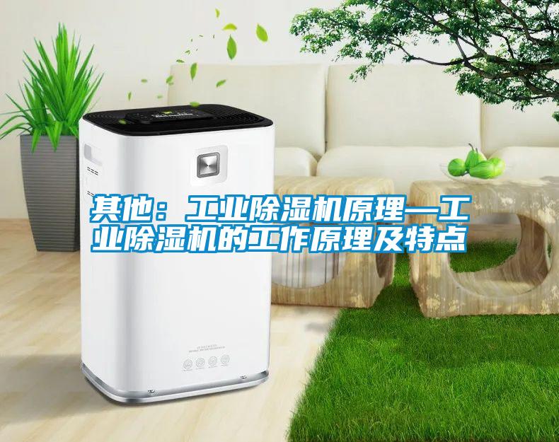 其他：工業(yè)除濕機原理—工業(yè)除濕機的工作原理及特點(diǎn)
