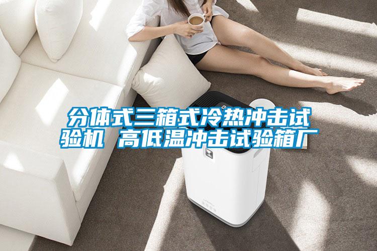 分體式三箱式冷熱沖擊試驗機 高低溫沖擊試驗箱廠(chǎng)
