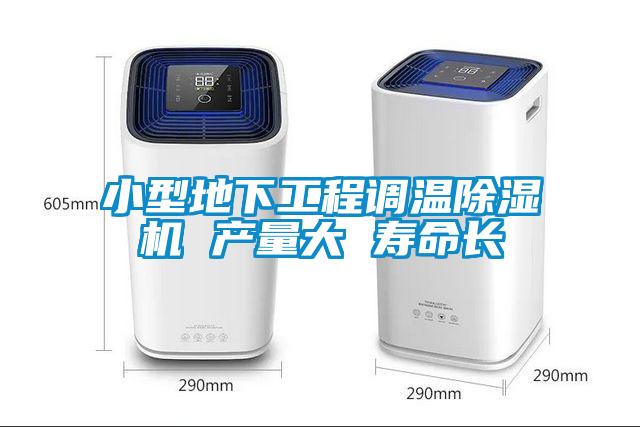 小型地下工程調溫除濕機 產(chǎn)量大 壽命長(cháng)