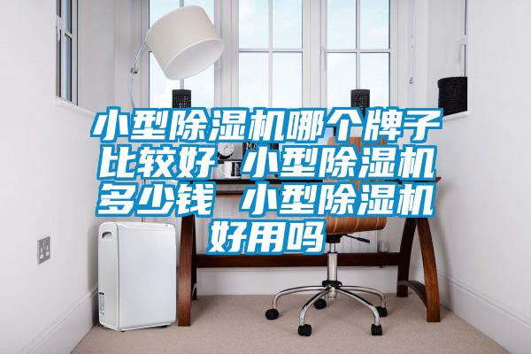 小型除濕機哪個(gè)牌子比較好 小型除濕機多少錢(qián) 小型除濕機好用嗎