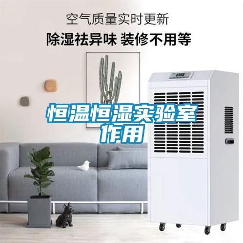 恒溫恒濕實(shí)驗室作用