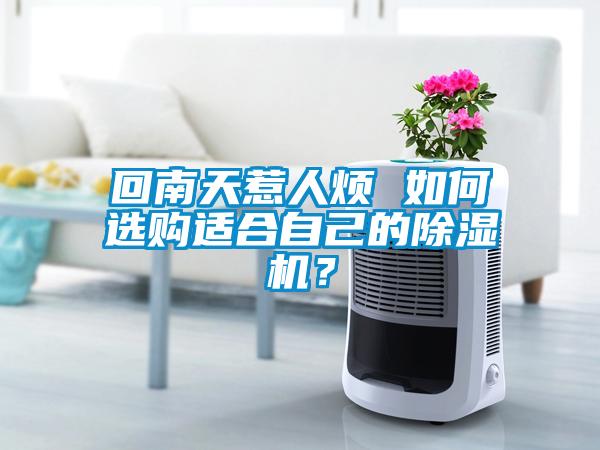 回南天惹人煩 如何選購適合自己的除濕機？