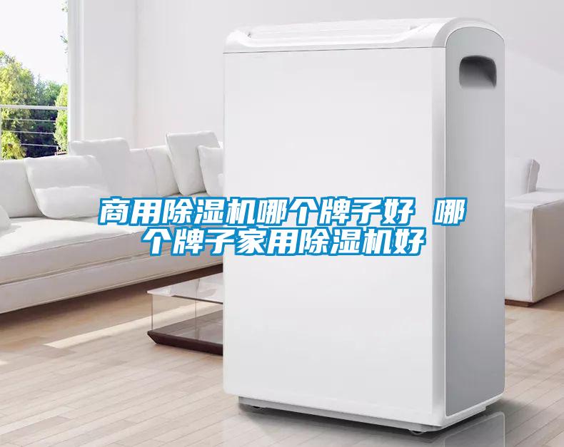 商用除濕機哪個(gè)牌子好 哪個(gè)牌子家用除濕機好