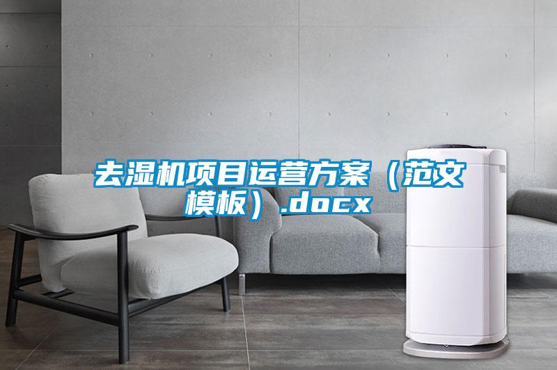 去濕機項目運營(yíng)方案（范文模板）.docx