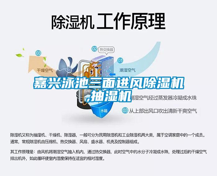 嘉興泳池三面進(jìn)風(fēng)除濕機,抽濕機