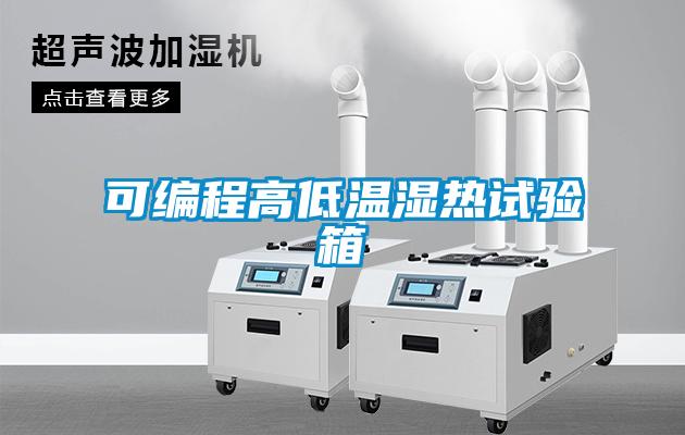 可編程高低溫濕熱試驗箱