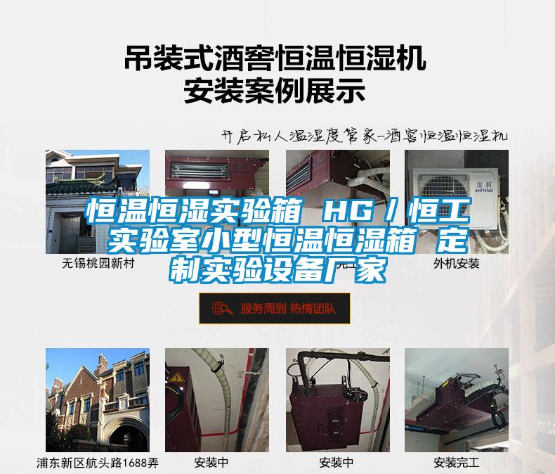 恒溫恒濕實(shí)驗箱 HG／恒工 實(shí)驗室小型恒溫恒濕箱 定制實(shí)驗設備廠(chǎng)家