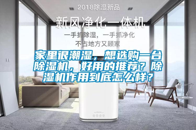 家里很潮濕，想選購一臺除濕機，好用的推薦？除濕機作用到底怎么樣？