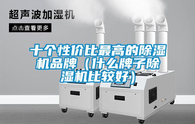 十個(gè)性?xún)r(jià)比最高的除濕機品牌（什么牌子除濕機比較好）