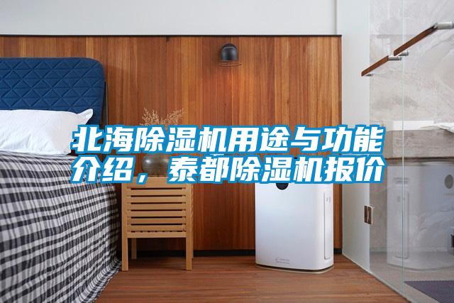 北海除濕機用途與功能介紹，泰都除濕機報價(jià)