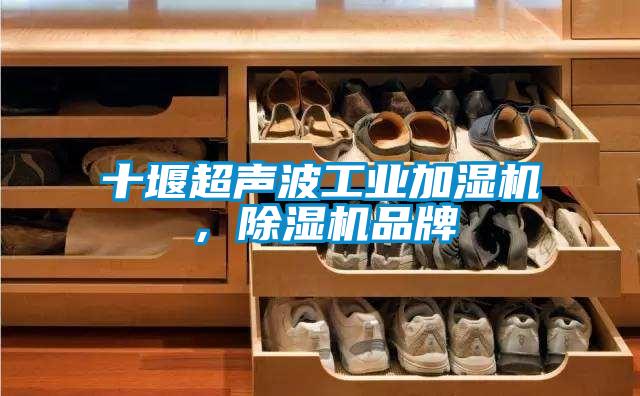 十堰超聲波工業(yè)加濕機，除濕機品牌