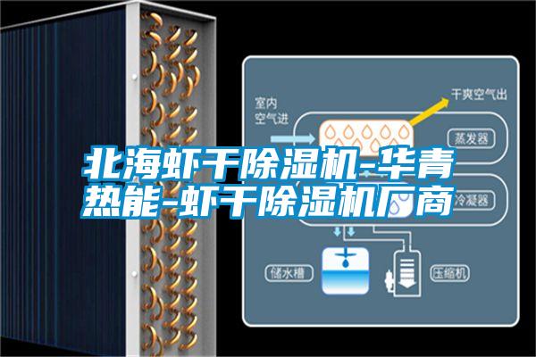 北海蝦干除濕機-華青熱能-蝦干除濕機廠(chǎng)商