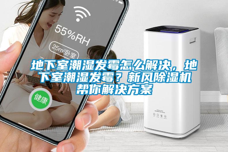 地下室潮濕發(fā)霉怎么解決，地下室潮濕發(fā)霉？新風(fēng)除濕機幫你解決方案