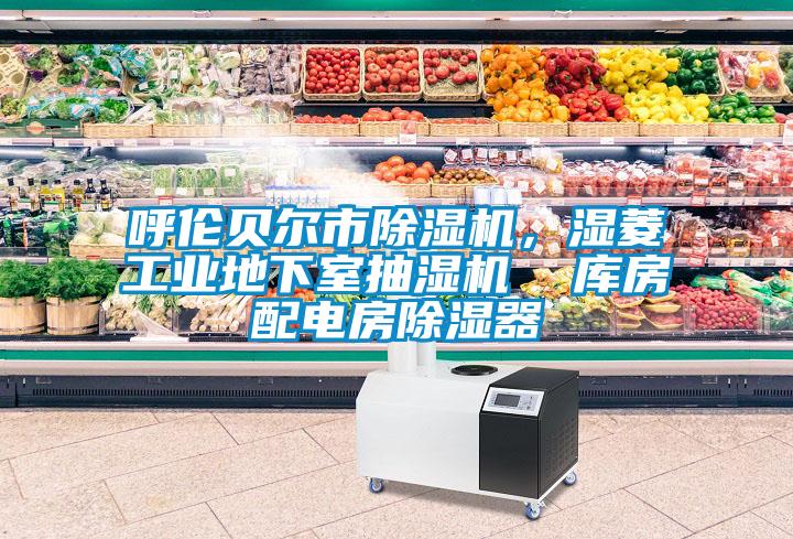 呼倫貝爾市除濕機，濕菱工業(yè)地下室抽濕機  庫房配電房除濕器