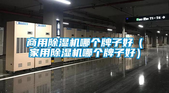 商用除濕機哪個(gè)牌子好（家用除濕機哪個(gè)牌子好）