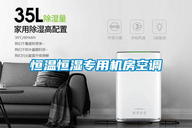 恒溫恒濕專(zhuān)用機房空調