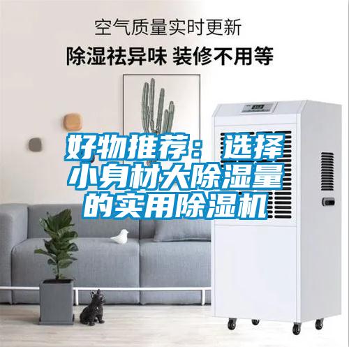 好物推薦：選擇小身材大除濕量的實(shí)用除濕機