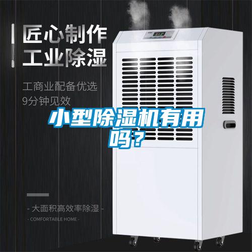 小型除濕機有用嗎？