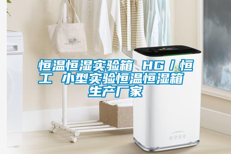 恒溫恒濕實(shí)驗箱 HG／恒工 小型實(shí)驗恒溫恒濕箱 生產(chǎn)廠(chǎng)家