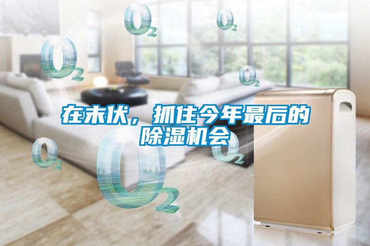 在末伏，抓住今年最后的除濕機會(huì )