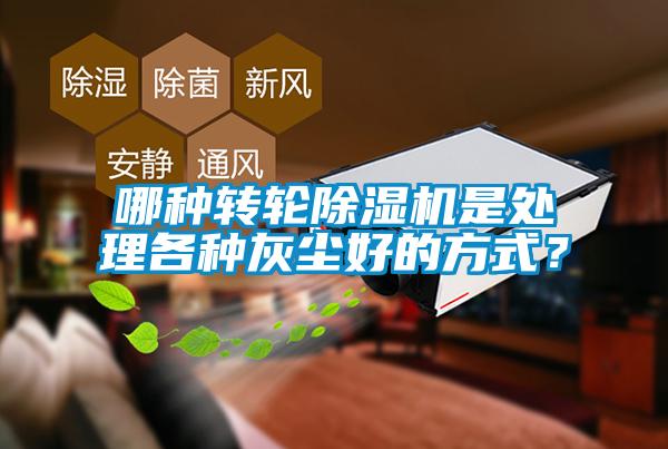 哪種轉輪除濕機是處理各種灰塵好的方式？