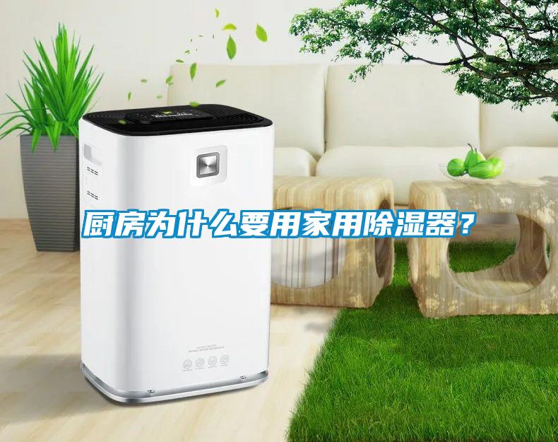 廚房為什么要用家用除濕器？