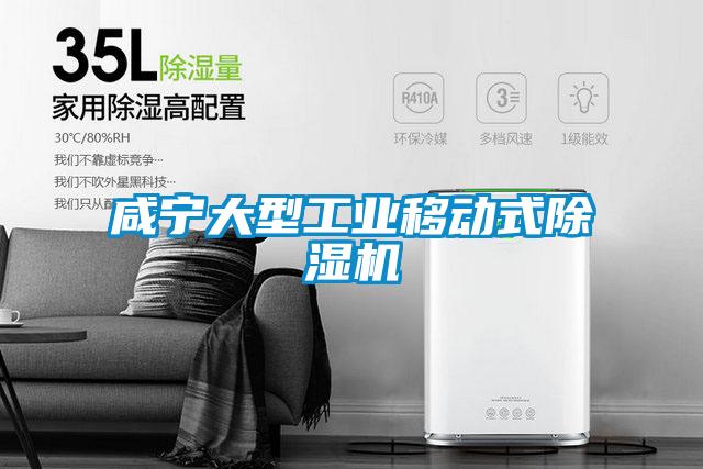 咸寧大型工業(yè)移動(dòng)式除濕機