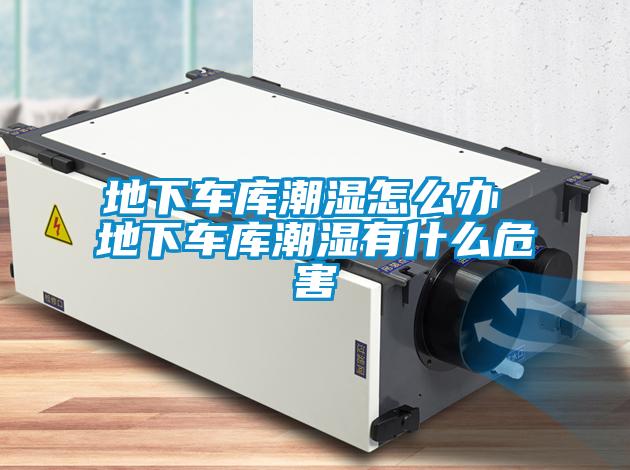地下車(chē)庫潮濕怎么辦 地下車(chē)庫潮濕有什么危害