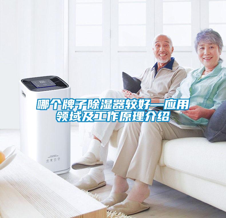 哪個(gè)牌子除濕器較好—應用領(lǐng)域及工作原理介紹