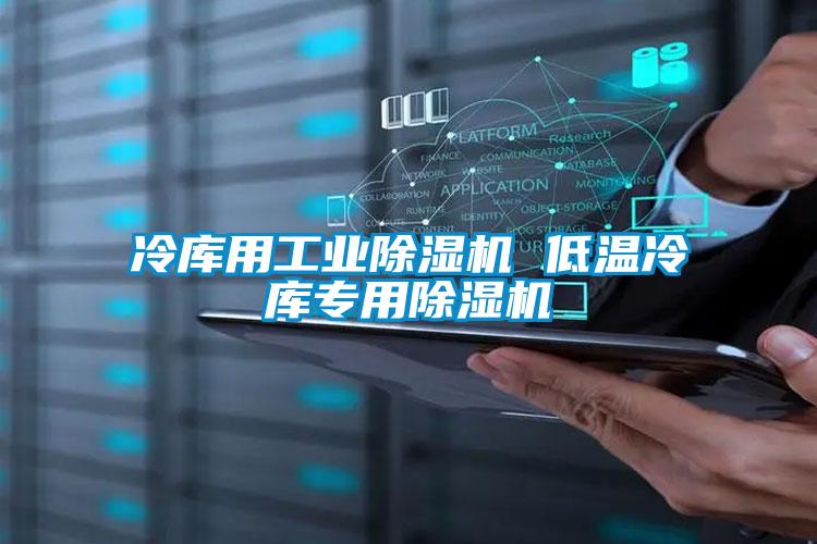 冷庫用工業(yè)除濕機 低溫冷庫專(zhuān)用除濕機