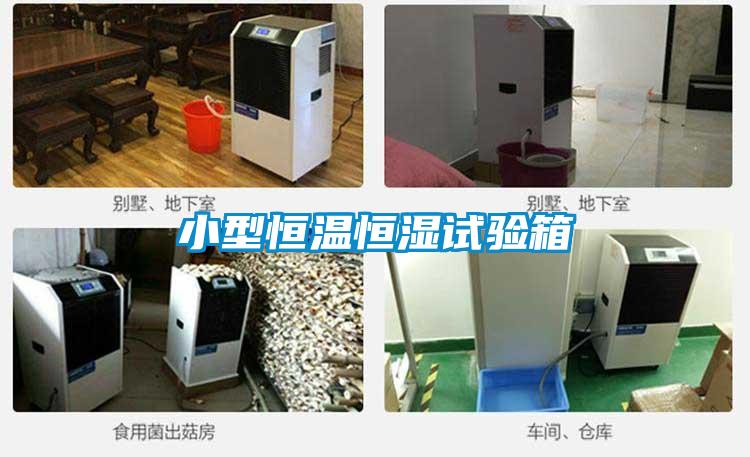 小型恒溫恒濕試驗箱