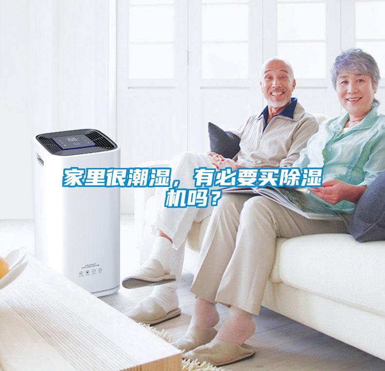 家里很潮濕，有必要買(mǎi)除濕機嗎？