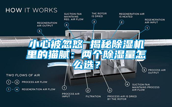 小心被忽悠 揭秘除濕機里的貓膩：兩個(gè)除濕量怎么選？