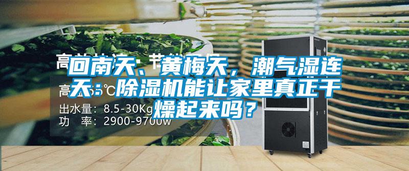 回南天、黃梅天，潮氣濕連天：除濕機能讓家里真正干燥起來(lái)嗎？