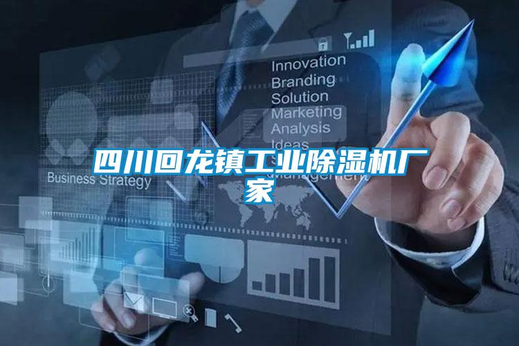 四川回龍鎮工業(yè)除濕機廠(chǎng)家