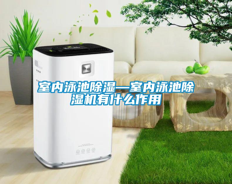 室內泳池除濕—室內泳池除濕機有什么作用