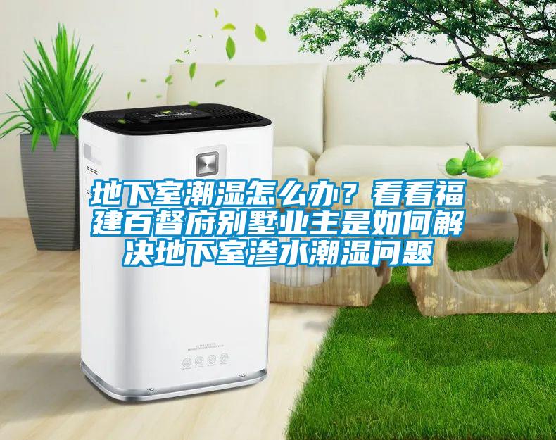 地下室潮濕怎么辦？看看福建百督府別墅業(yè)主是如何解決地下室滲水潮濕問(wèn)題