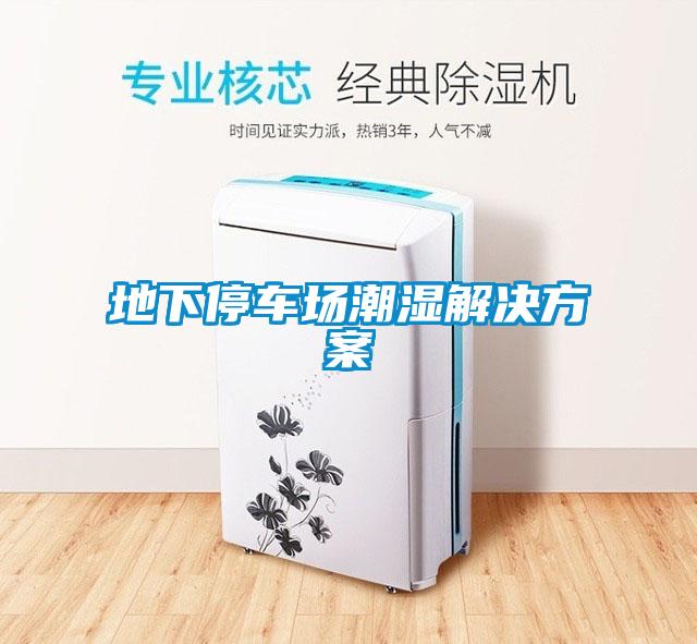 地下停車(chē)場(chǎng)潮濕解決方案