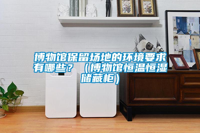 博物館保留場(chǎng)地的環(huán)境要求有哪些？（博物館恒溫恒濕儲藏柜）