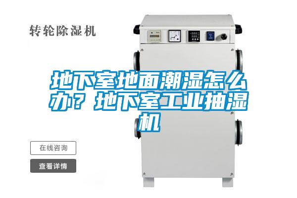 地下室地面潮濕怎么辦？地下室工業(yè)抽濕機