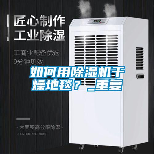 如何用除濕機干燥地毯？_重復