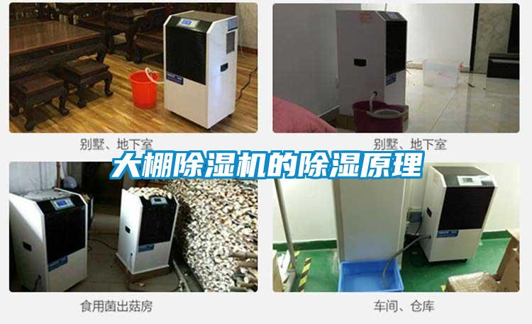 大棚除濕機的除濕原理