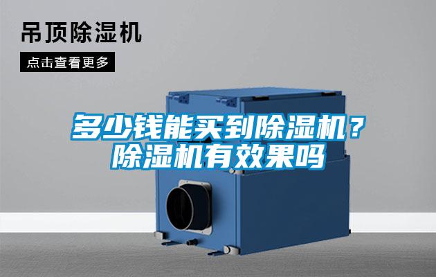 多少錢(qián)能買(mǎi)到除濕機？除濕機有效果嗎