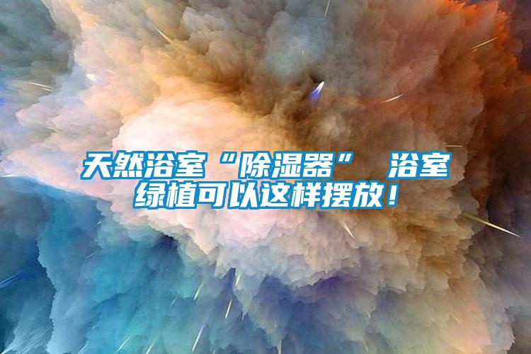 天然浴室“除濕器” 浴室綠植可以這樣擺放！